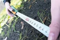 Единороссами предлагается выделять многодетным семьям земельные участки сразу в собственность Единороссами предлагается выделять многодетным семьям земельные участки сразу в собственность